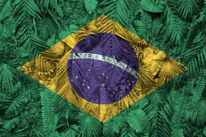 A negligência da metodologia científica no Brasil