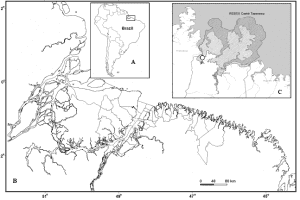 Localização da área de estudo. (A) Brasil, (B) zona costeira amazônica brasileira, (C) localização da comunidade do Tamatateua.