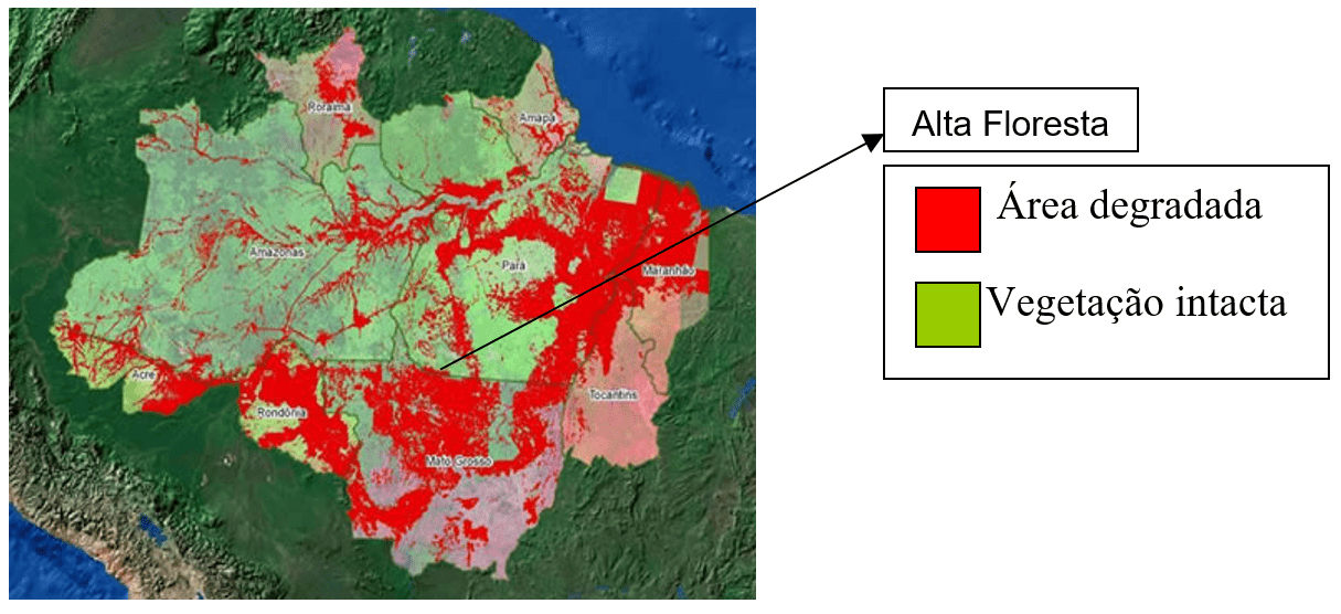 Déforestation dans la région appelée Amazonie