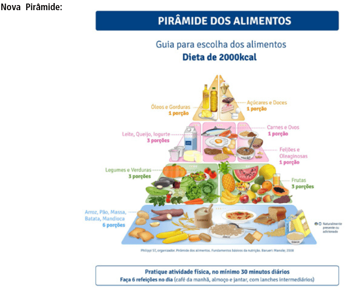 La pyramide alimentaire