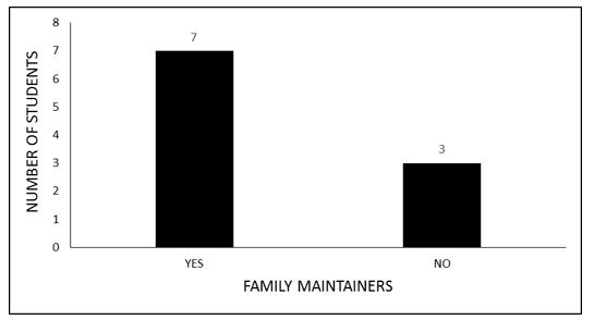 Graph 13 Family maintainers (2nd grade students of YAE).