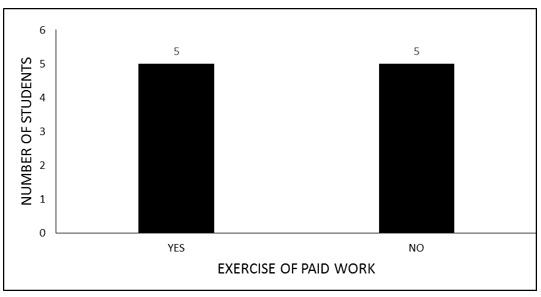 Graph 3 Exercise of paid work (2nd grade students of YAE)