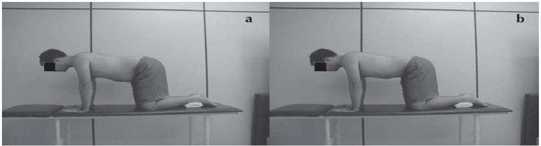 Reeducação do transverso do abdomên em quatro apoios: (a) nota-se o relaxamento da parede abdominal; (b) contração do transverso do abdômen. Fonte: França et al, 2008.