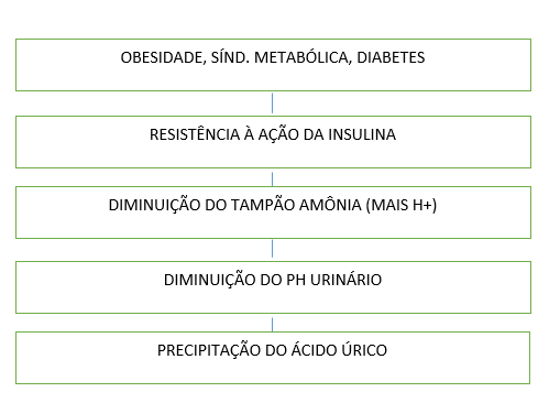 Patogênese da litíase por ácido úrico. Fonte: Adaptado de RIELLA,2010. p. 576