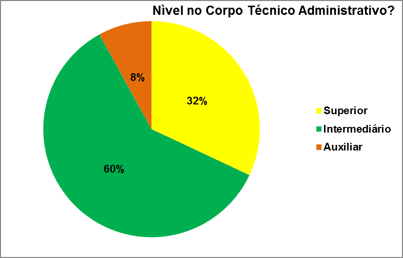 Nível no corpo técnico. Fonte: Autor, 2008.