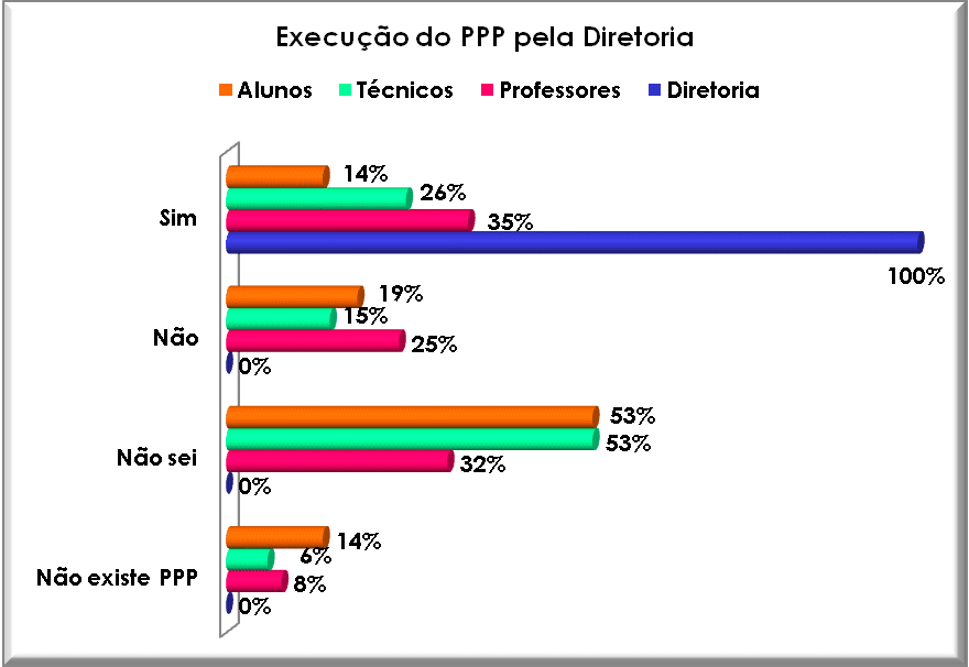 Execução do PPP pela Diretoria Executiva. Fonte: Autor, 2008.