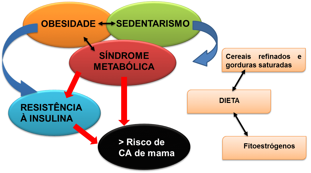 Fatores de risco para síndrome metabólica e câncer de mama. Fonte: LARGENT (2010).
