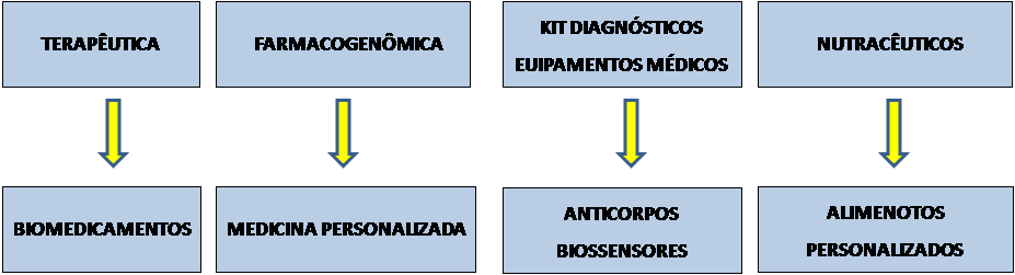 Figura 2