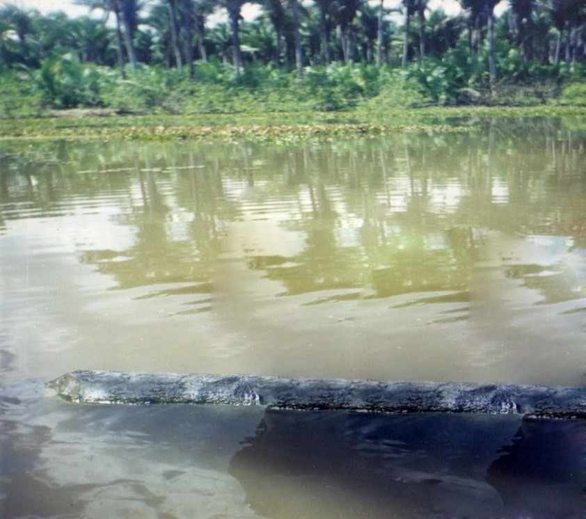 Trecho do Riacho Bom Fim ainda preservado no ano de 1999. Fonte: Valério, 1999.