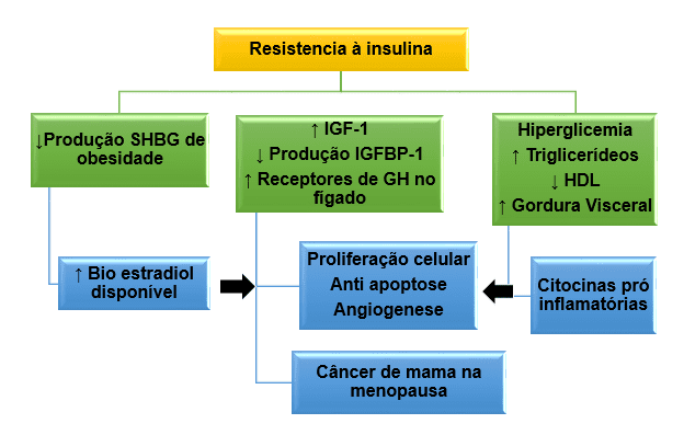 Risco metabólico associado a RI e rota para o CM. Fonte Adaptada de: BRAUN; WORMS; LEROITH (2011).