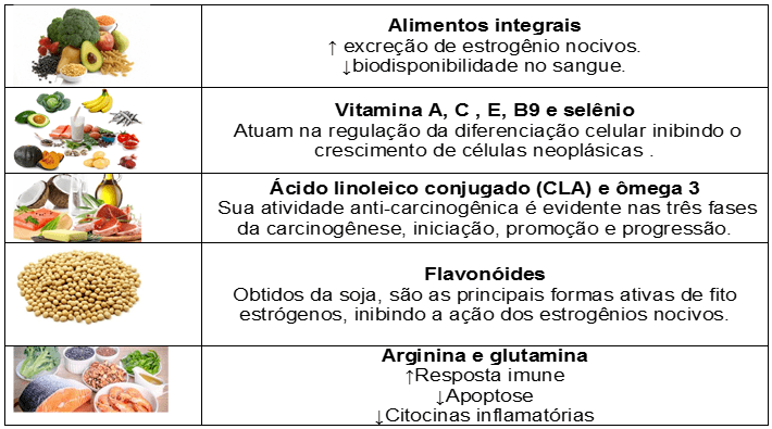 Alimentos na Quimioprevenção do câncer de mama. Fonte: HANKINSON; SPEIZER et al. (2009)