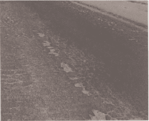 Fotografia de peladas. Fonte: Pinto, 2003, p. 53.
