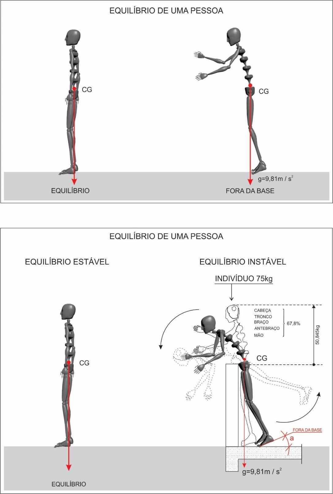 Figura 6 - Equilíbrio estável e instável. Fonte: Fonte: VILELA JR et aL, 2001 (Adaptado por CHERVENKO). Desenho: Fabio Fafers