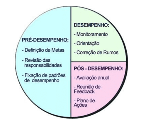 Figura 1 - Gestão do desempenho. Fonte:http://www.dominusrh.com.br/Interns.asptabela=Produtos&Id=L  