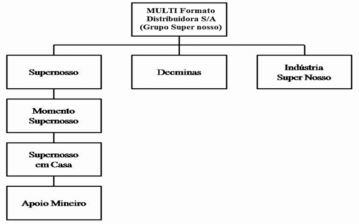 Figura 1 – Organograma do grupo empresarial. Fonte: Euler Fuad Nejm (2016)