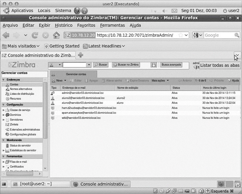 Figura 3 - Console de administração do Zimbra