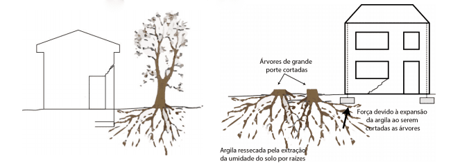 Figura 8 - Recalque de fundação devido raízes. Fonte: SANTOS (2014)