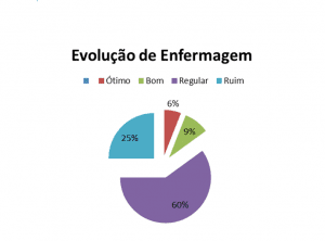 Figura 2 –  Gráfico Evolução de Enfermagem. Fonte: Autoria Própria. 2017