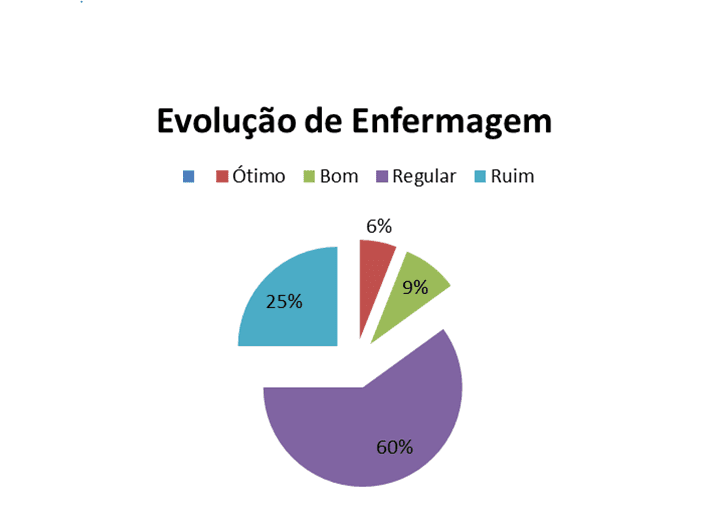 Figura 2 –  Gráfico Evolução de Enfermagem. Fonte: Autoria Própria. 2017