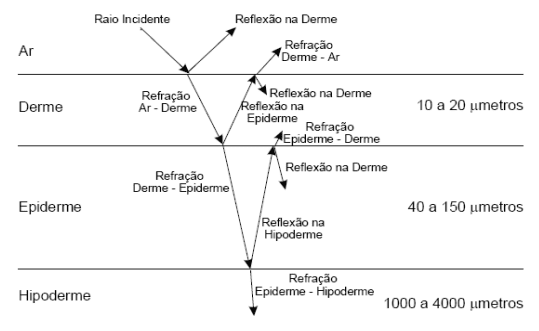 Figura 1 - Penetração da luz LED sobre tecido humano. Fonte: (BUENO; CRISTOFOLINII, 2014).