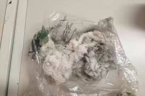 Figura 20 – Flanela contaminada. Fonte: Núcleo de meio ambiente