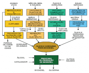 Figura 1 – Cadeia Produtiva do biodiesel. Fonte: AGE e DONNINI, 2006.
