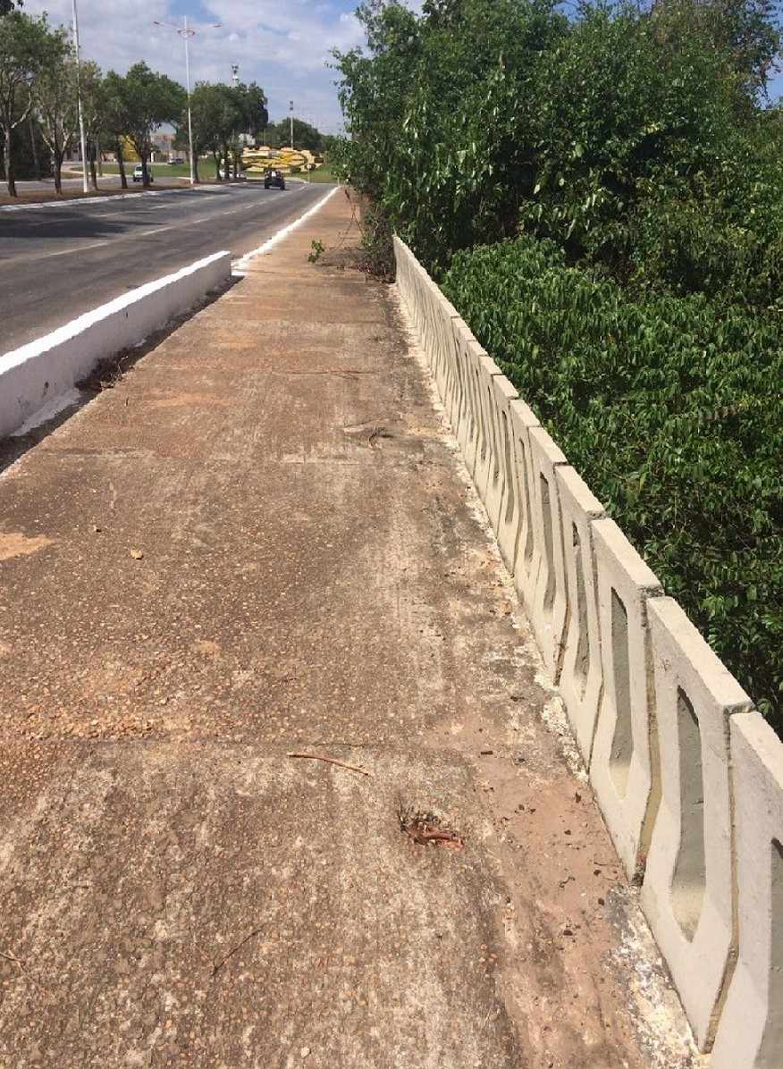 Figura 7 - Guarda corpo da ponte