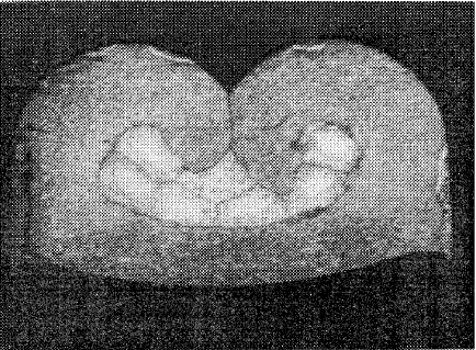 Figura 8: Terminal crimpado; dados experimentais: –altura 1,25/1,26 mm –largura 2,25 – 20 GA (VILLENEUVE et al., 1996).