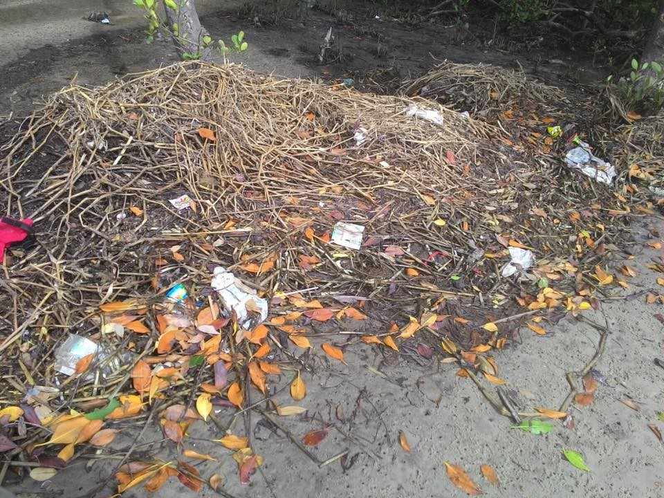Figura 2: Lagoa da Sabiaguaba no ponto da coleta de água. Fonte: Arquivo pessoal, 2015.