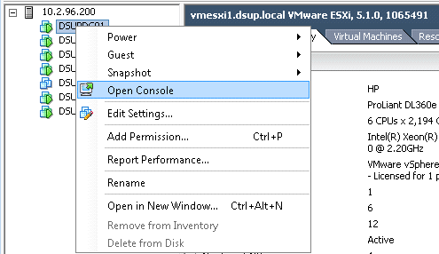 Abbildung 3-virtuelle Server Zugang über vSphere 5.0. Quelle: angepasst (ABHILASH, 2015, s. 281)