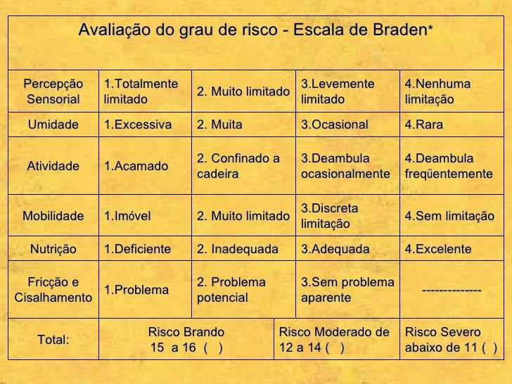 Figura 1: evaluación del grado de la escala de Braden de riesgo. Fuente: Aucely Chagas, 2010.
