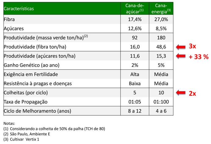 Figura 10- Características da Cana-Energia. Fonte: (GRANBIO, 2017)