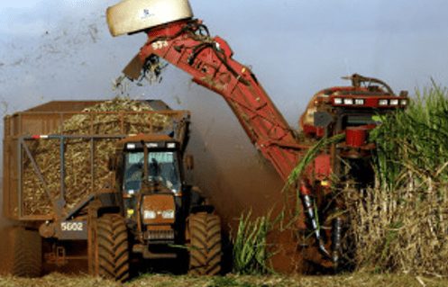 Figura 7 - Colheita Mecanizada. Fonte: «Agrimanagers», 2018