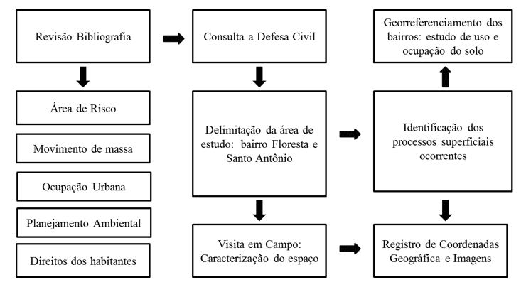 Figura 1 – Fluxograma Metodologia