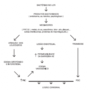 Figura 1 – Miningite Bacteriana Fisiopatologia. Fonte: (3)