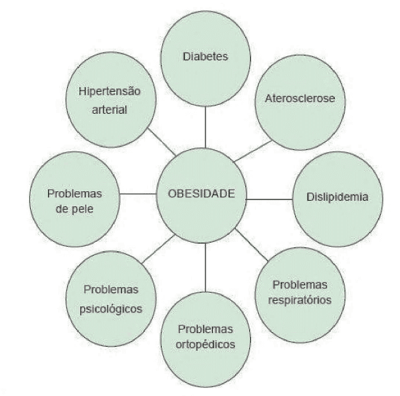 Figura 2: Diagrama das doenças relacionadas à obesidade infantil. Fonte: Silveira (2017, p. 62)