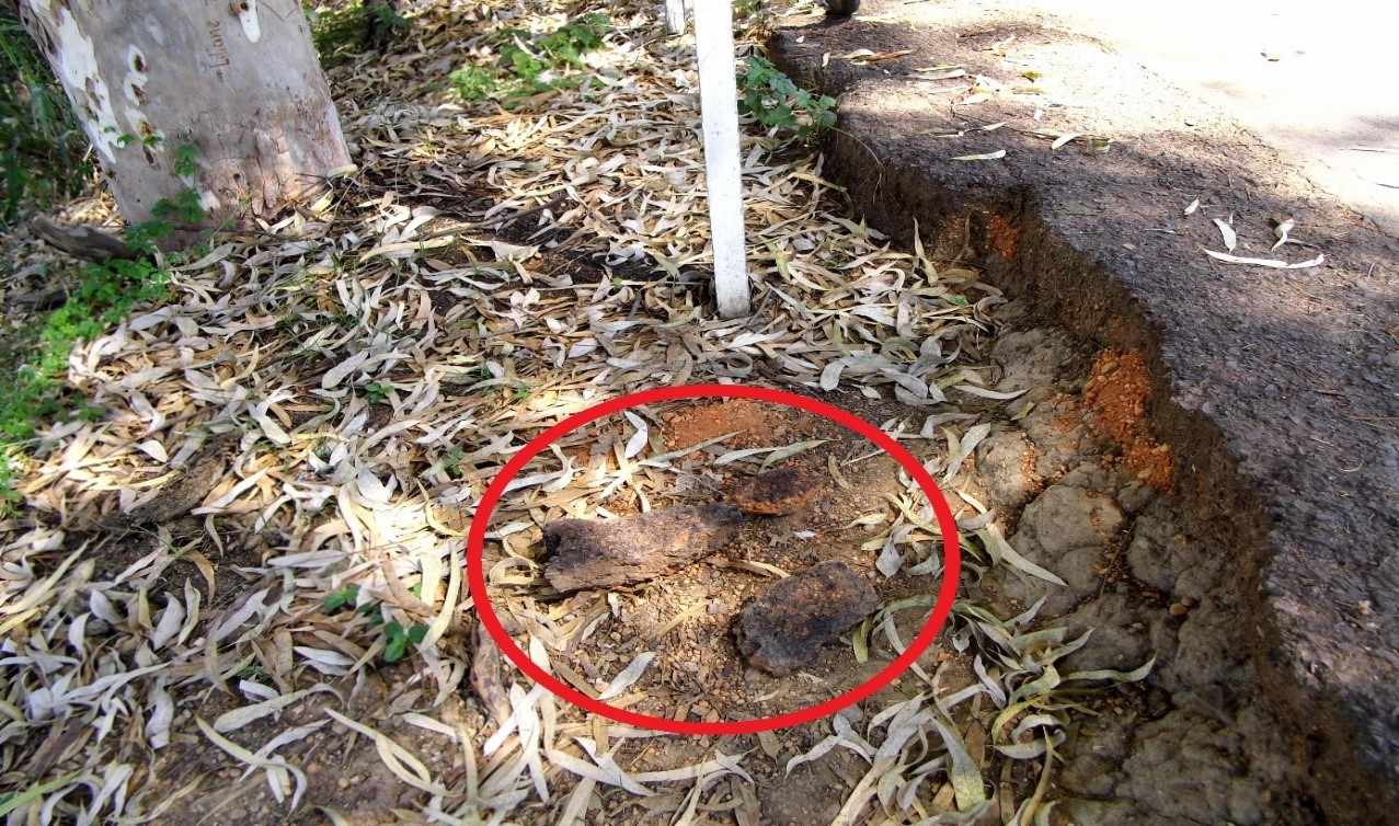 Figura 7 - Pedaços da lateral do asfalto que se desprenderam. Fonte: Acervo do autor