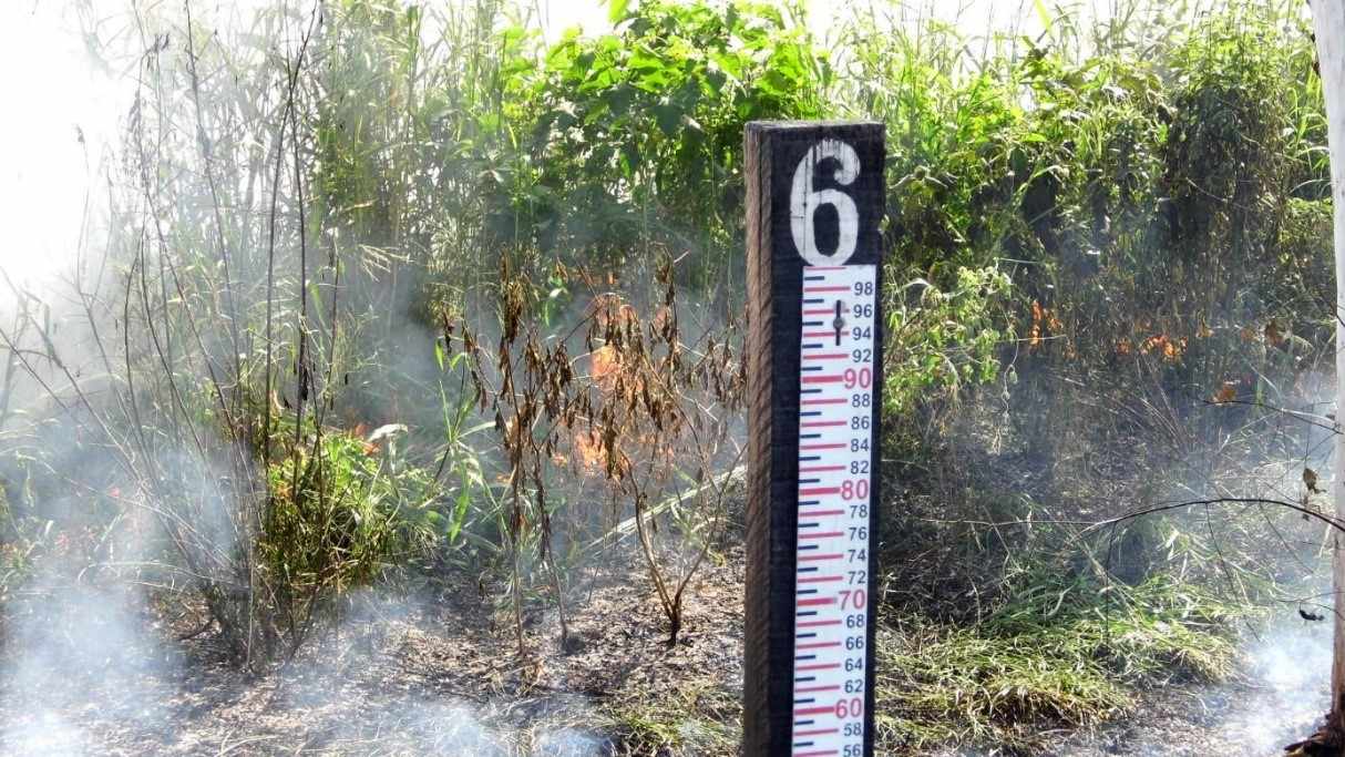 Figura 9: Ocorrência de queimada na margem do Rio São Francisco em março de 2016. Fonte: Acervo do autor
