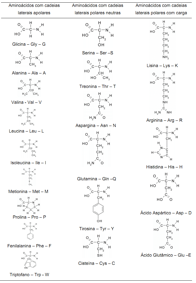 PDF) AVALIAÇÃO DA ROTULAGEM DE SUPLEMENTOS ENERGÉTICOS EM BRASÍLIA