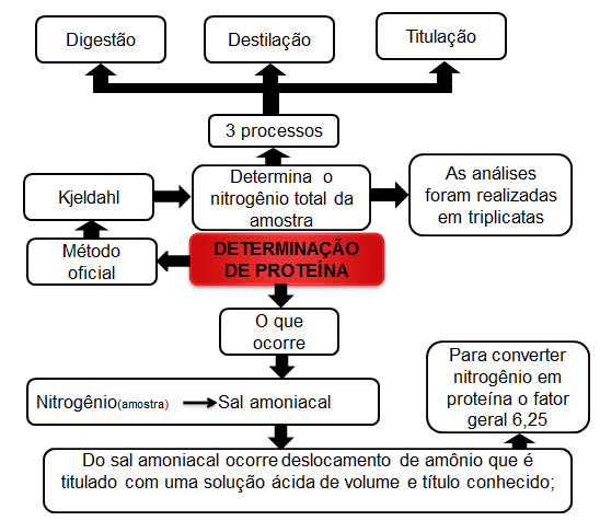 PDF) AVALIAÇÃO DA ROTULAGEM DE SUPLEMENTOS ENERGÉTICOS EM BRASÍLIA