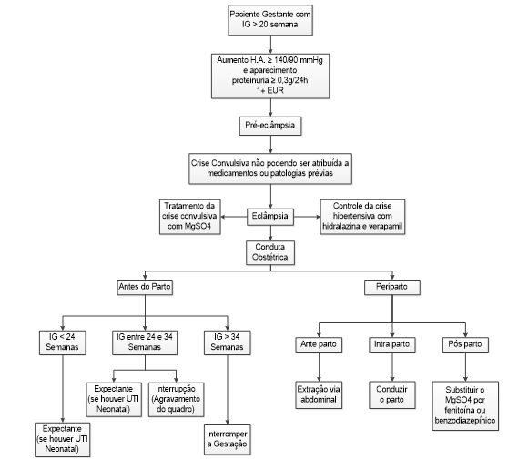 Figura 2 - Fluxograma de identificação e tratamento da eclâmpsia. Fonte: CARVALHO et al., 2008, pag.27.