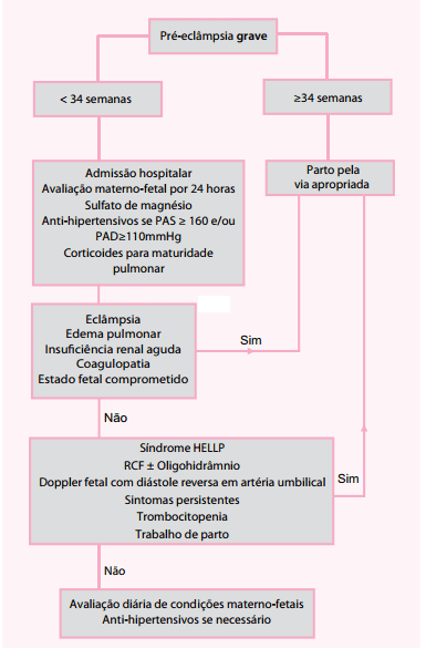 Abordagem Emergencial De Crises Hipertensivas Nas Gestantes