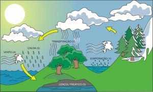 Resultado de imagem para ciclo hidrolÃ³gico
