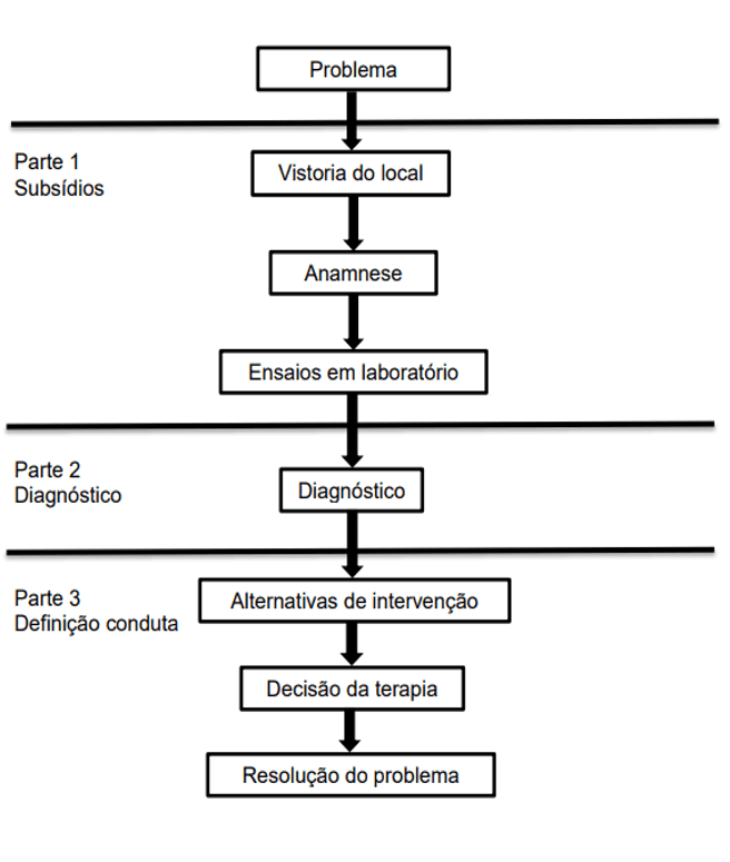 Anamnese - O que é, técnicas, conceito e definição