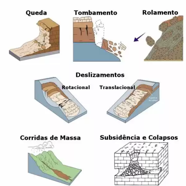 A vegetação pode prevenir um deslizamento de terra?