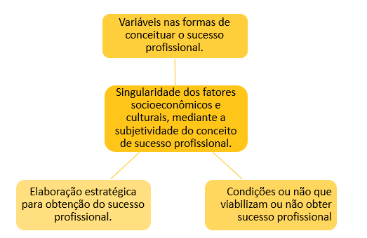 Significado de sucesso profissional sob a ótica dos alunos