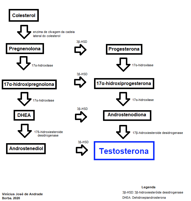 PDF) ANÁLISE DA POTÊNCIA MUSCULAR EM JOVENS ATLETAS E NÃO ATLETAS