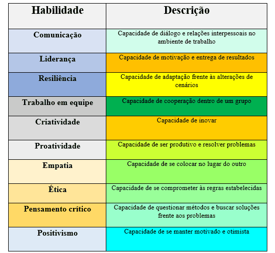 Skill e Networking: Entenda o significado dessas palavras - tudoep