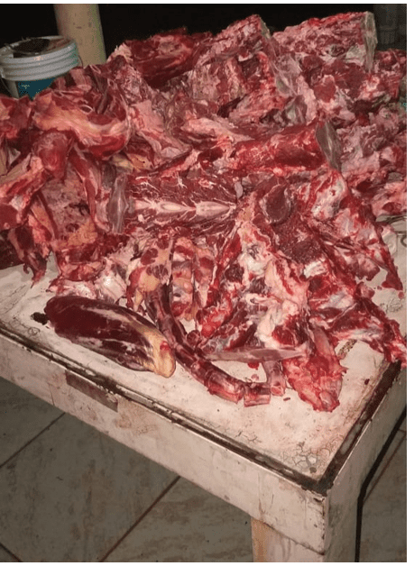 GO: Abatedouro clandestino misturava carne de cavalo com carne suína