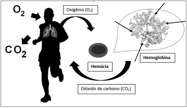 Examen De Química I 2021 online exercise for